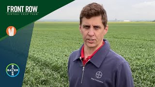 The Front Row: Unleashing the Potential of Cereal Fungicides