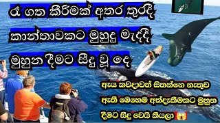 නොසිතූ වෙලාවක මුහුන දීමට සීදු වූ දෙ 😱 මෙ වගෙ දෙයක් අපට යුනොත් මොකො කරන්නෙ  🤔 බලන්න විඩියො එක