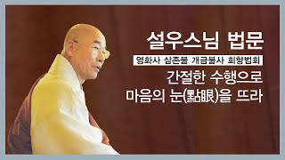 설우스님 법문 - 간절한 수행으로 마음의 눈을 뜨라