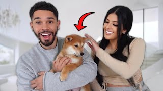 I SURPRISED MY HUSBAND WITH A PUPPY!! **EMOTIONAL**