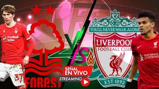 Nottingham Forest vs Liverpool EN VIVO. El partido de hoy por la FA CUP ,LIVERPOOL NARRACIÓN hoy