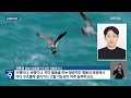 천연기념물 송골매…허가도 없이 포획·사육 9시 뉴스 kbs 2024.04.13.