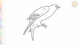 Gyrfalcon bird drawing easy | Art tutorial | How to draw A Gyrfalcon step by step | #artjanag