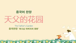 (중국어찬양): 天父的花园 (중국찬양 '하나님 아버지의 꽃밭') - The Father’s Garden