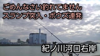 【紀ノ川河口右岸】夜釣り(20230119)