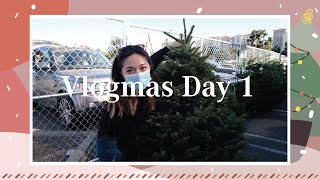 Vlogmas Day 1｜第一次買聖誕樹、Vlog時間管理｜VanessaLiao