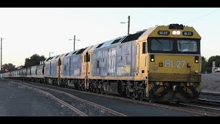 BL27-31-G540 on 7934V at Dunolly.  24-03-24.