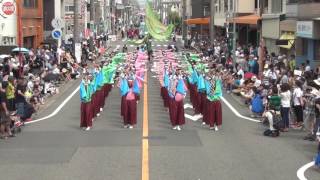 ど祭り2016　2日目「どえりゃ〜どうとくパレード会場」3回目（カメラ1）　中京高校保育class「lovekids」 （未編集ノーカット）