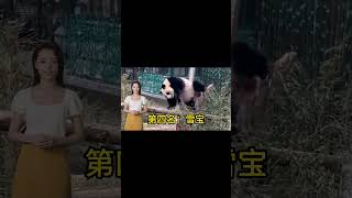 熊猫界6大舞王，不仅长得可爱，还多才多艺#熊猫界顶流 #熊猫跳舞 #熊猫 #shorts