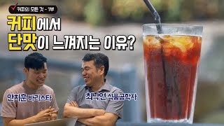 최낙언TV_커피의 모든것1부_커피에서 단맛이 느껴지는 이유(feat. 안치훈 바리스타)