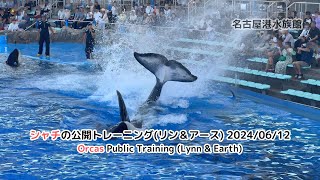 【名古屋港水族館】 シャチの公開トレーニング(リン＆アース) 2024/06/12 / Orcas Public Training (Lynn \u0026 Earth)