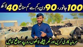 Bachra Farming Business Idea In Pakistan 💥|Bachra Farming |Cattle Farming in Pakistan 🇵🇰