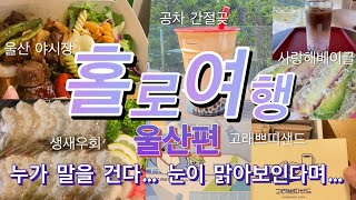 여자 혼자 울산 여행 - 호텔, 디저트, 혼밥, 혼술: 공차 간절곶, 울산야시장, 사랑해베이글, 생새우회, 고래쁘띠샌드