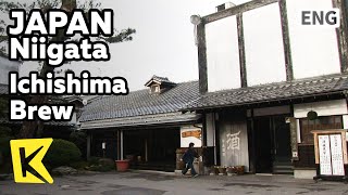 【K】Japan Travel-Niigata[일본 여행-니가타]전통 사케 만드는 이치시마 주조/Ichishima Brew/Sake