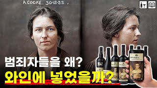 [와인+교양 #11] 왜 영국이 호주로 보낸 죄수들이 와인에 있을까? 가성비 호주 와인《19크라임스》｜와인으로 똑똑해지기