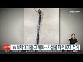 1m 쇠막대기 들고 배회…시설물 파손 50대 검거 연합뉴스tv yonhapnewstv