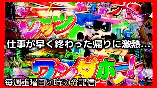 仕事が早く終わた帰りにお金を増やそうとしてみたら、とんでもない激熱がやってきました。【PAわんわんパラダイスCELEBRATION】【沖海5 パチンコ 海物語 ライブ ガチ践大海5!】#パーラーあげ実