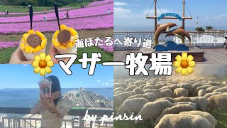 【vlog】マザー牧場で羊の行進🐏🐑と花火🎆海ほたるへ寄り道した夏の休日☀️