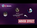 Elementor Image hover effect | WordPress Elementor Pro Tutorial