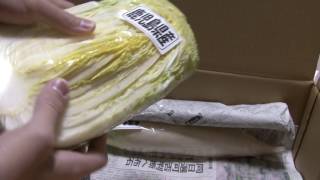 タマチャンショップ　九州野菜ミニミニお試しセット