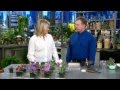 Martha Stewart Show - Paul Sorano