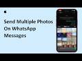 How To Send Multiple Photos On WhatsApp Messages | Select Multiple Pictures In WhatsApp Chats 2026