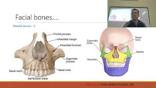 live class on BONES OF SKULL