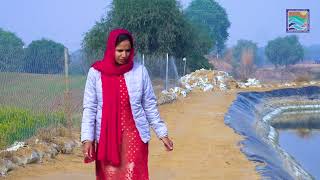 success story of fish farmer under PMMSY Scheme of District Bhiwani