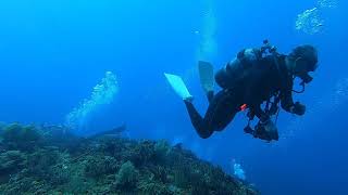 17,July,2022 Yonaguni Diving Service