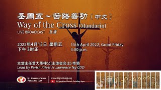 Way of The Cross (Mandarin) 圣周五-苦路善功（中文）