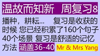 零基础零痛苦学英语 周复习8【蓝版，中文读完停顿时间短】【涵盖36-40节】【温故而知新】【您已经积累了160个句子，40个场景】【最易学，最实用，最有效，最简洁】