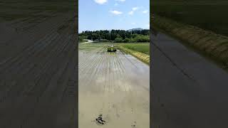 Japanese rice planting　今の田植え機はメチャクチャ早い！