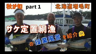 秋の味覚を続々紹介 🍁part１🐟 秋の味、増毛町からサケ定置網漁を紹介🤗