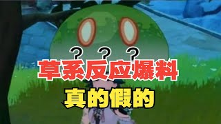 【原神】草系反应爆料又来了！八重即将崛起！真的假的？【口无遮拦的柏哥】