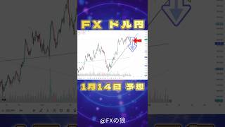 【FX ドル円】2025年1月14日のドル円最新予想。今日はPPI(生産者物価指数)の発表あり！そして遂に４時間足でトレンドにぶつかる！