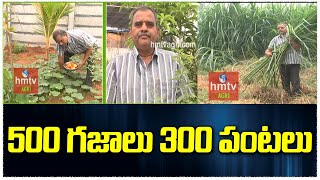 500 గజాలు 300 పంటలు | Farming in 500 Yards with 300 Crops | hmtv Agri