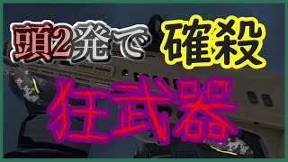 【Ironsight】新武器RM277が強すぎる件