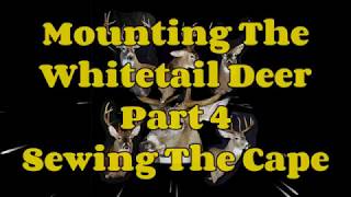 Mounting The Whitetail Deer - Part 4 - Sewing The Cape