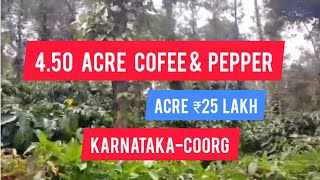 4.50 Acre Coffee Estate For Sale | Coorg | Karnataka (Acre 25 Lakh)