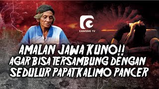 AMALAN JAWA KUNO AGAR BISA TERSAMBUNG DENGAN SEDULUR PAPAT KALIMO PANCER - MBAH JO