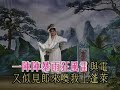 願為蝴蝶繞孤墳 純音樂