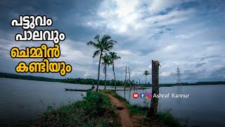 പട്ടുവം പാലവും ചെമ്മീൻ കണ്ടിയും | Pattuvam palam | Ashraf kannur | Vlog | Kannur | Tourism