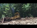 cat d3 dozer clearing logs and stumps