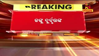 ଚୋରି କରିବାକୁ ଯାଇ ଧରା ପଡିବା ଭୟରେ ଘର ମାଲିକଙ୍କୁ ଦୁର୍ବୃତ୍ତଙ୍କ ଆକ୍ରମଣ | nandighoshaTV