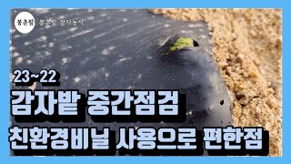 봉춘팜 감자농사 | 감자 싹 나올 때 친환경비닐 사용하면 편한점