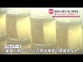 田村市の魅力再発見！あぶくま洞秋まつり　グルメとエンタメの祭典 2023年9月23日