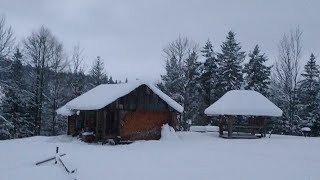 For 14 days he Spent the night in a Forest House in a heavy Blizzard with cattle. Bushcraft Shelter.
