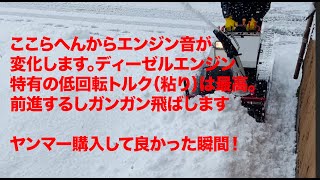 2024年12月28日 年末寒波・除雪動画  ヤンマーロータリー式除雪機