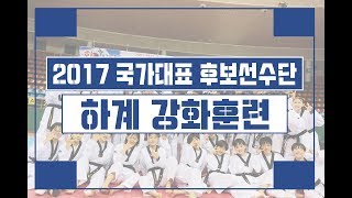 [영상] 2017 태권도 국가대표 후보선수단