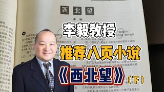 李毅教授推荐八页小说《西北望》（下）